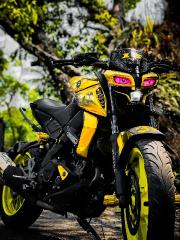 Yamaha MT 15